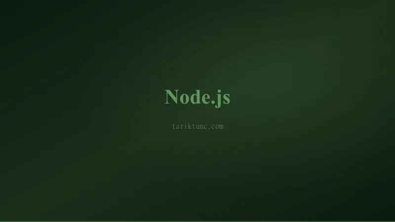 Node.js Başlangıç Rehberi: Sunucu Tarafı JavaScript